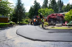 Best Driveway Pressure Washing  in Winnemucca, NV